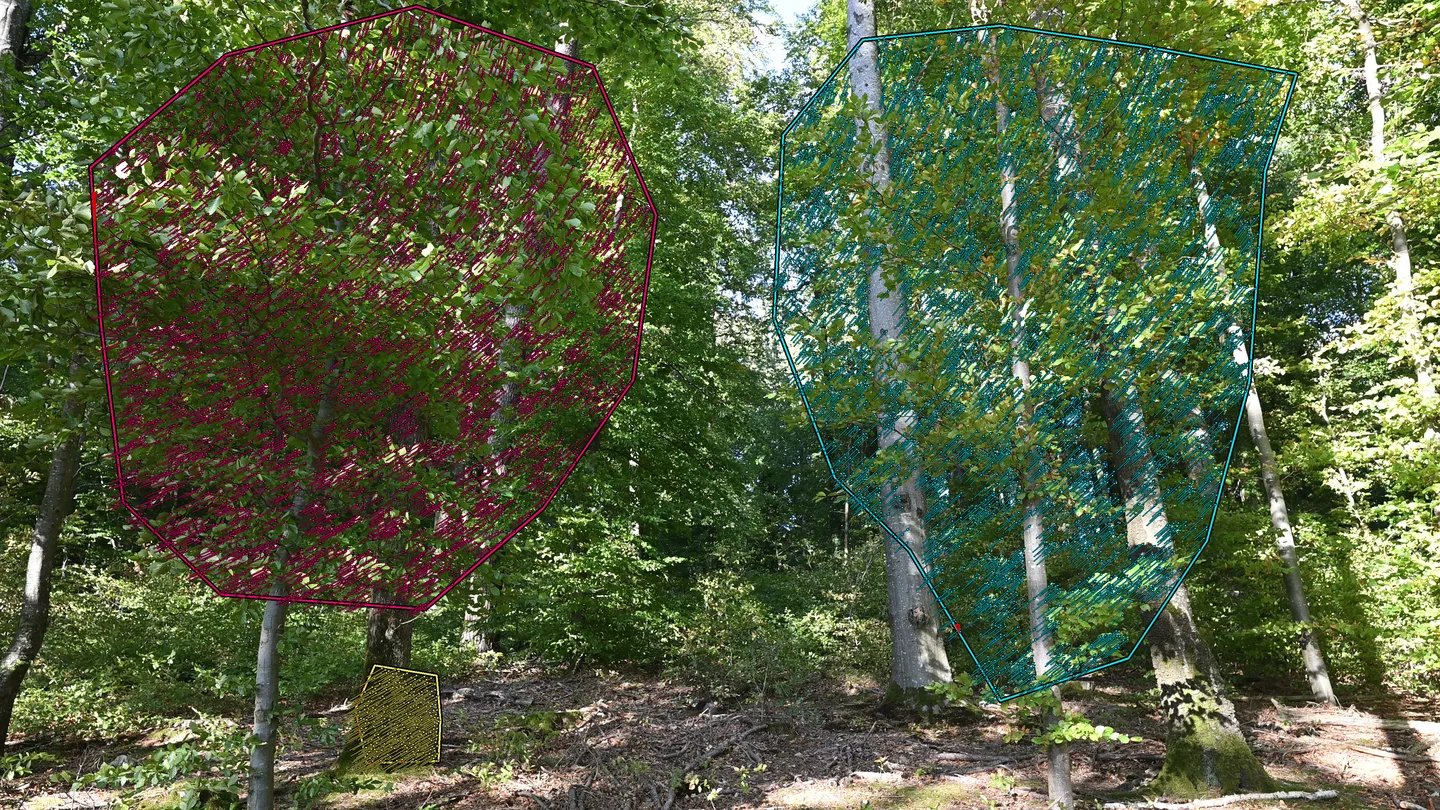 Baumaufnahme mit magentafarbenen Bewegungsspuren in Bereich A links, cyanfarbenen Spuren in Bereich B rechts und einer gelben unbeweglichen Referenz unter Bereich A.